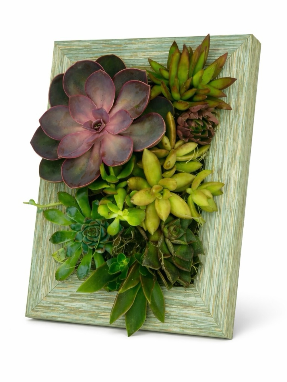 Vertical Planter Kit (5x7) - Portrait Gardens - Picture 3 of 9